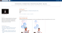 Desktop Screenshot of findingforeverphotography.blogspot.com