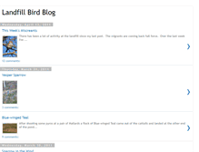Tablet Screenshot of landfillbirdblog.blogspot.com
