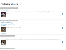 Tablet Screenshot of kittenfosterer.blogspot.com