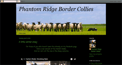 Desktop Screenshot of phantomridgebordercollies.blogspot.com