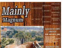 Tablet Screenshot of mainlymagnum.blogspot.com