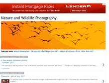 Tablet Screenshot of natureandwildlifephotography.blogspot.com