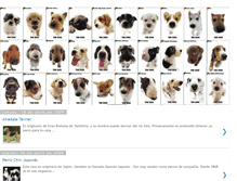 Tablet Screenshot of perros-web.blogspot.com