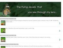 Tablet Screenshot of flying-jewels.blogspot.com