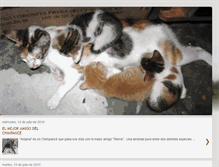 Tablet Screenshot of lostresgatitos.blogspot.com