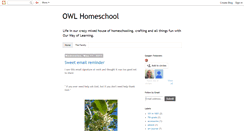 Desktop Screenshot of owlhomeschool.blogspot.com