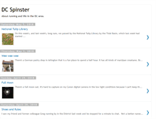 Tablet Screenshot of dcspinster.blogspot.com