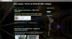 Desktop Screenshot of bius-domi.blogspot.com