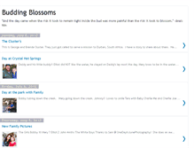 Tablet Screenshot of buddingblossoms.blogspot.com