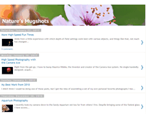 Tablet Screenshot of naturesmugshots.blogspot.com