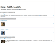Tablet Screenshot of natureartphoto.blogspot.com