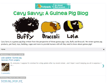 Tablet Screenshot of cavysavvy.blogspot.com