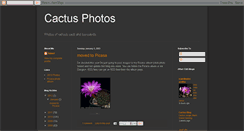 Desktop Screenshot of cactusphotos.blogspot.com