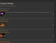 Tablet Screenshot of cactusphotos.blogspot.com