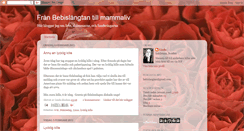 Desktop Screenshot of bebislangtan.blogspot.com