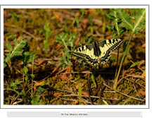 Tablet Screenshot of fotonaturaleza-jmllavori.blogspot.com