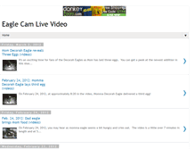 Tablet Screenshot of eaglecamlive.blogspot.com