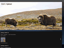 Tablet Screenshot of 0dde-naturfoto.blogspot.com