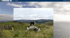 Desktop Screenshot of boywoodbordercollies.blogspot.com