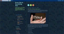 Desktop Screenshot of everydayissomethingnew.blogspot.com