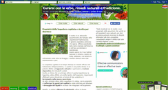 Desktop Screenshot of erbeperguarire.blogspot.com