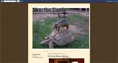 Desktop Screenshot of mootheturtle.blogspot.com