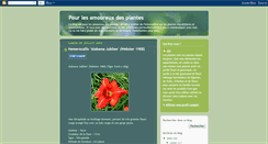 Desktop Screenshot of jardindemid.blogspot.com