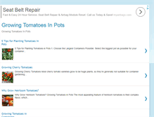 Tablet Screenshot of growingtomatoesinpots.blogspot.com