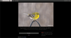 Desktop Screenshot of capturingcreation.blogspot.com