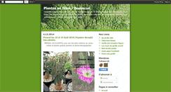 Desktop Screenshot of plantesenfete.blogspot.com