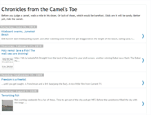 Tablet Screenshot of camelshock.blogspot.com