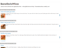 Tablet Screenshot of boonedockswilcox.blogspot.com