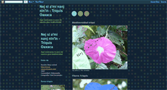 Desktop Screenshot of biodiversidad-triqui.blogspot.com