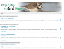 Tablet Screenshot of ebirdforum.blogspot.com