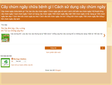 Tablet Screenshot of caychumngay-moringaoleifera.blogspot.com
