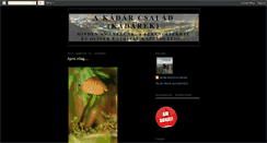 Desktop Screenshot of kadarek.blogspot.com