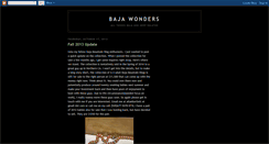 Desktop Screenshot of juarezwonders.blogspot.com