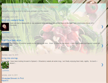 Tablet Screenshot of foodfitnessfashionista.blogspot.com