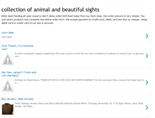 Tablet Screenshot of collectionbird.blogspot.com