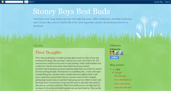 Desktop Screenshot of fnstoneyboy.blogspot.com