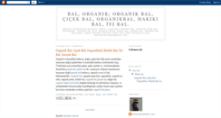 Desktop Screenshot of organikbalyaylabali.blogspot.com