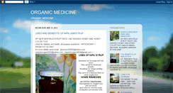 Desktop Screenshot of nipasyrup.blogspot.com