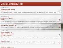 Tablet Screenshot of celinecnri.blogspot.com