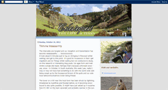 Desktop Screenshot of celestequest.blogspot.com