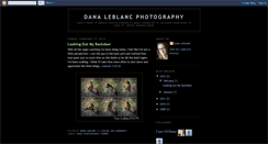 Desktop Screenshot of danaleblancphotography.blogspot.com