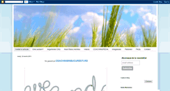Desktop Screenshot of coachinginbucuresti.blogspot.com