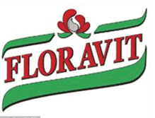 Tablet Screenshot of floravit.blogspot.com