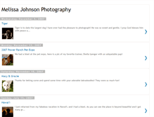 Tablet Screenshot of melissajohnsonphotography.blogspot.com