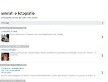 Tablet Screenshot of animaliefotografie.blogspot.com
