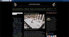 Desktop Screenshot of lophophora.blogspot.com